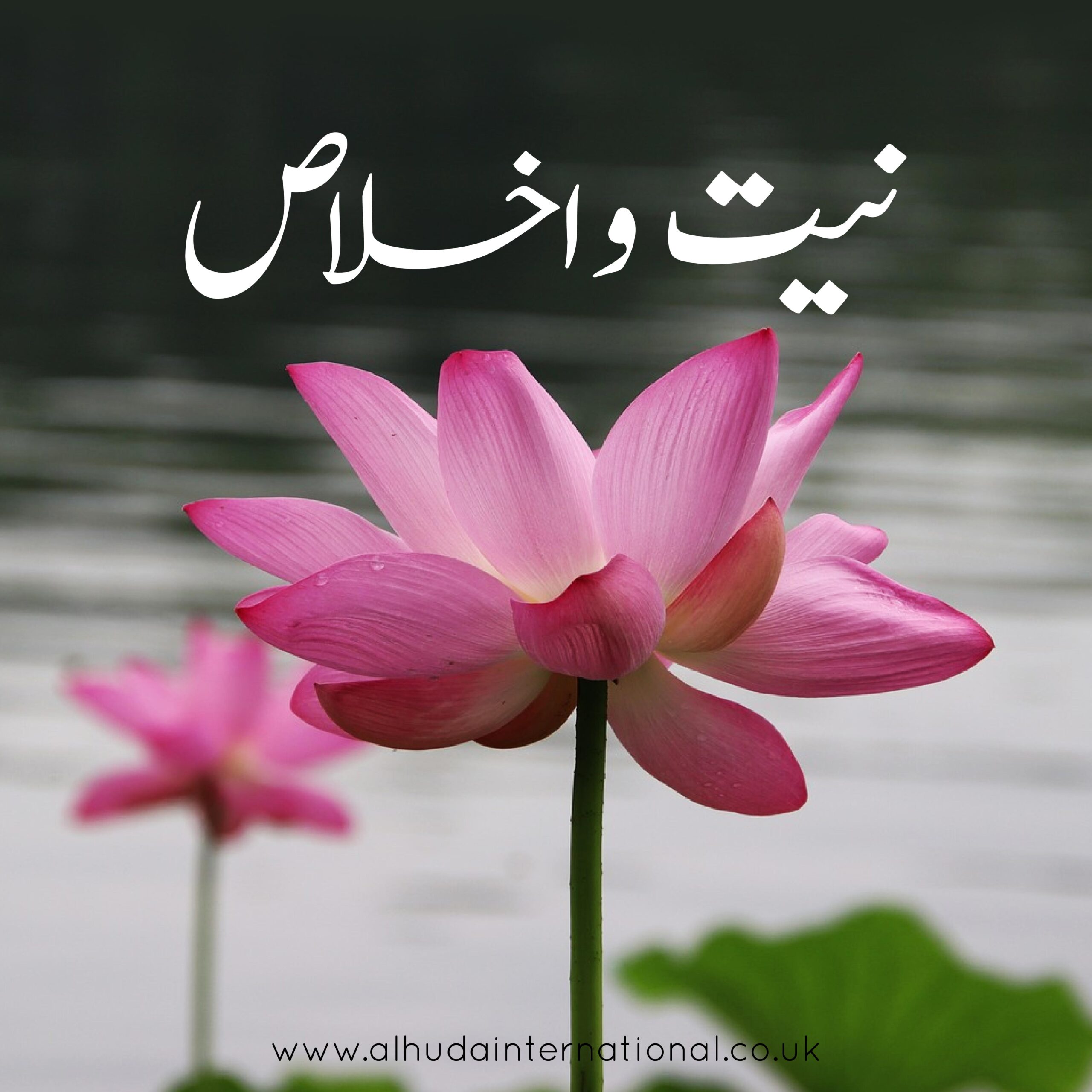 Niyyat o Ikhlas